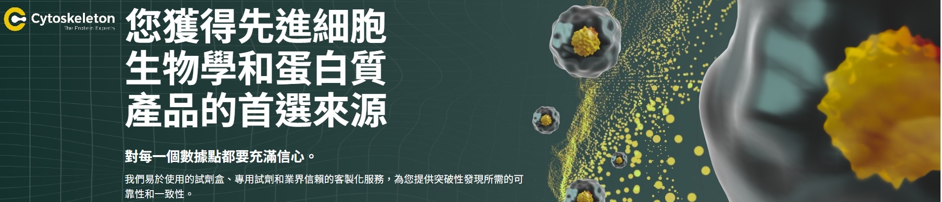 Cytoskeleton 台灣代理商 Tubulin